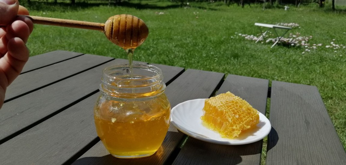 4 вида меда с личной пасеки фото 3