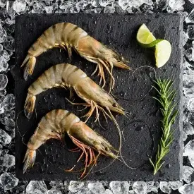Креветка черная тигровая 13/15 «Shrimp» с/м, б/г, 1 кг