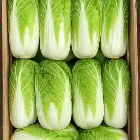 Капуста пекинская (опт от 2000 кг)