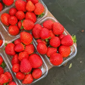 Клубника свежая РБ