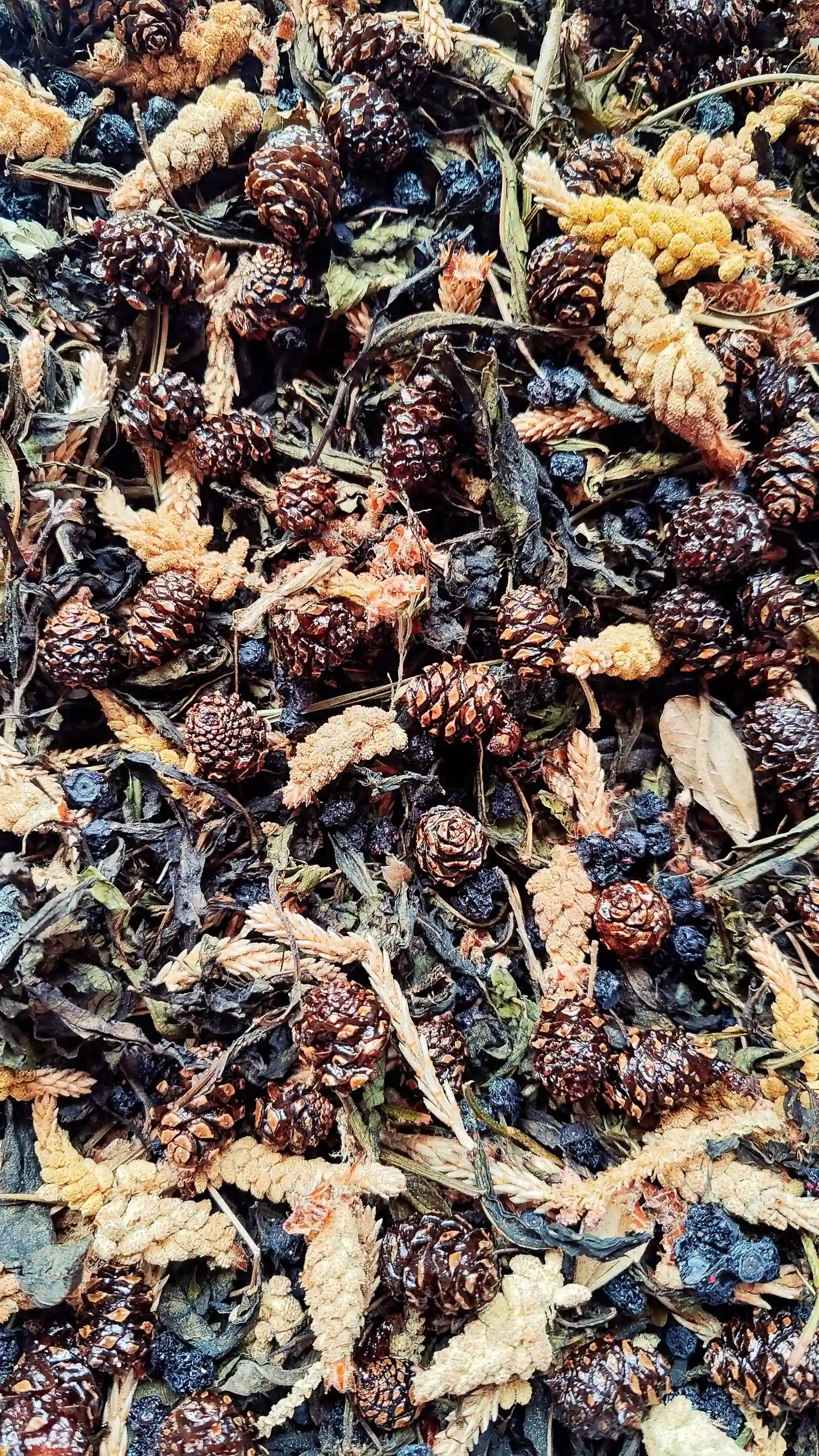 Травяной чай " Хвойный " фото 1