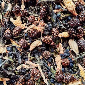 Травяной чай " Хвойный "