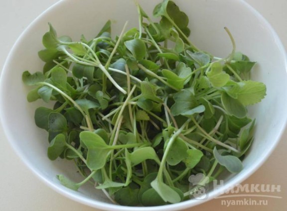 Микрозелень редиса острого фото 2