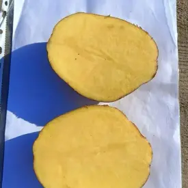 Картофель "Першацвет" (опт)