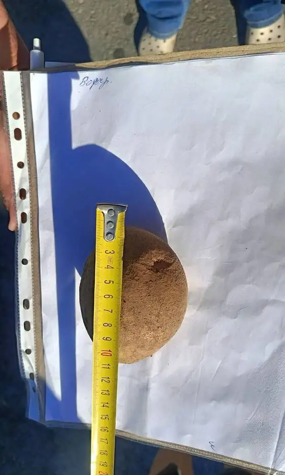 Картофель "Водар" (опт) фото 2