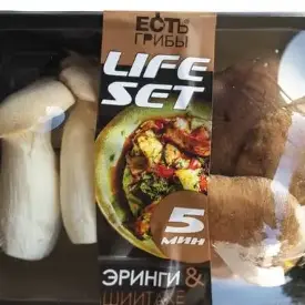 Эринги и Шиитаке