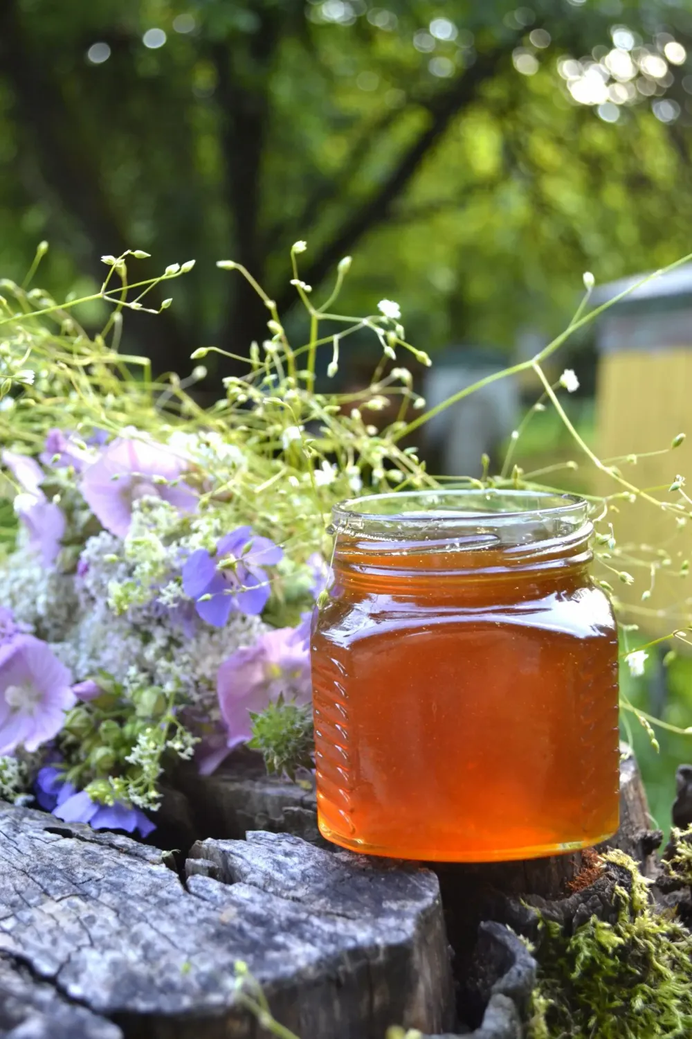 Мёд (липа, гречка, василёк)