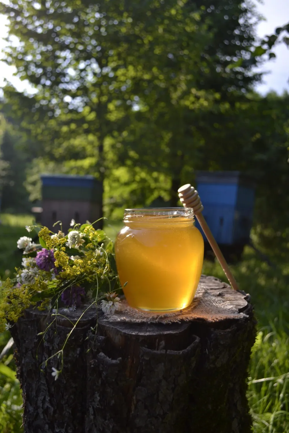 Мед «Летнее разнотравье», 0.7 кг