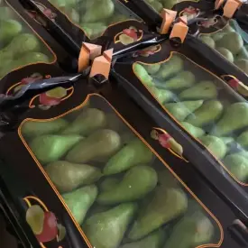 Груша «Конференция»