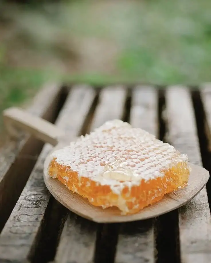 Мед в сотах