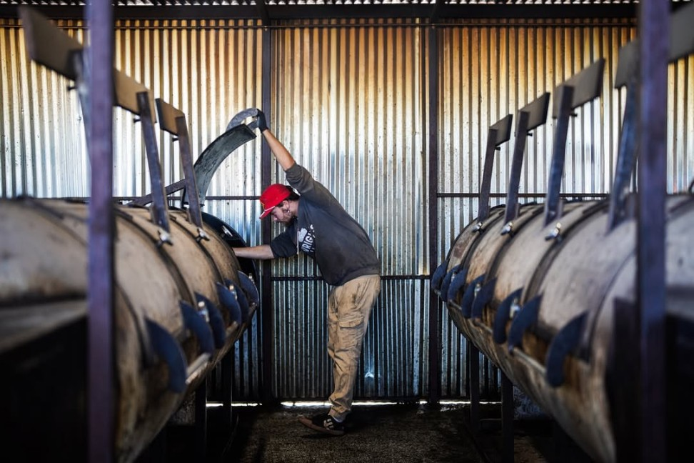 Услуги по приготовлению мяса, птицы, рыбы в смокерах фото 12