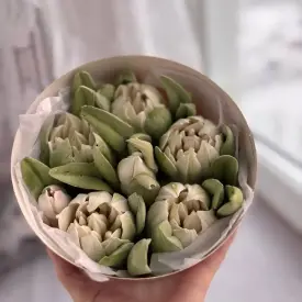 Зефирные тюльпаны