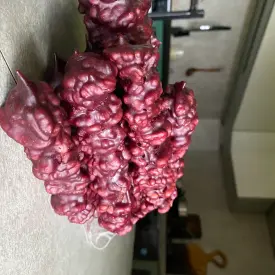 Чурчхела домашняя