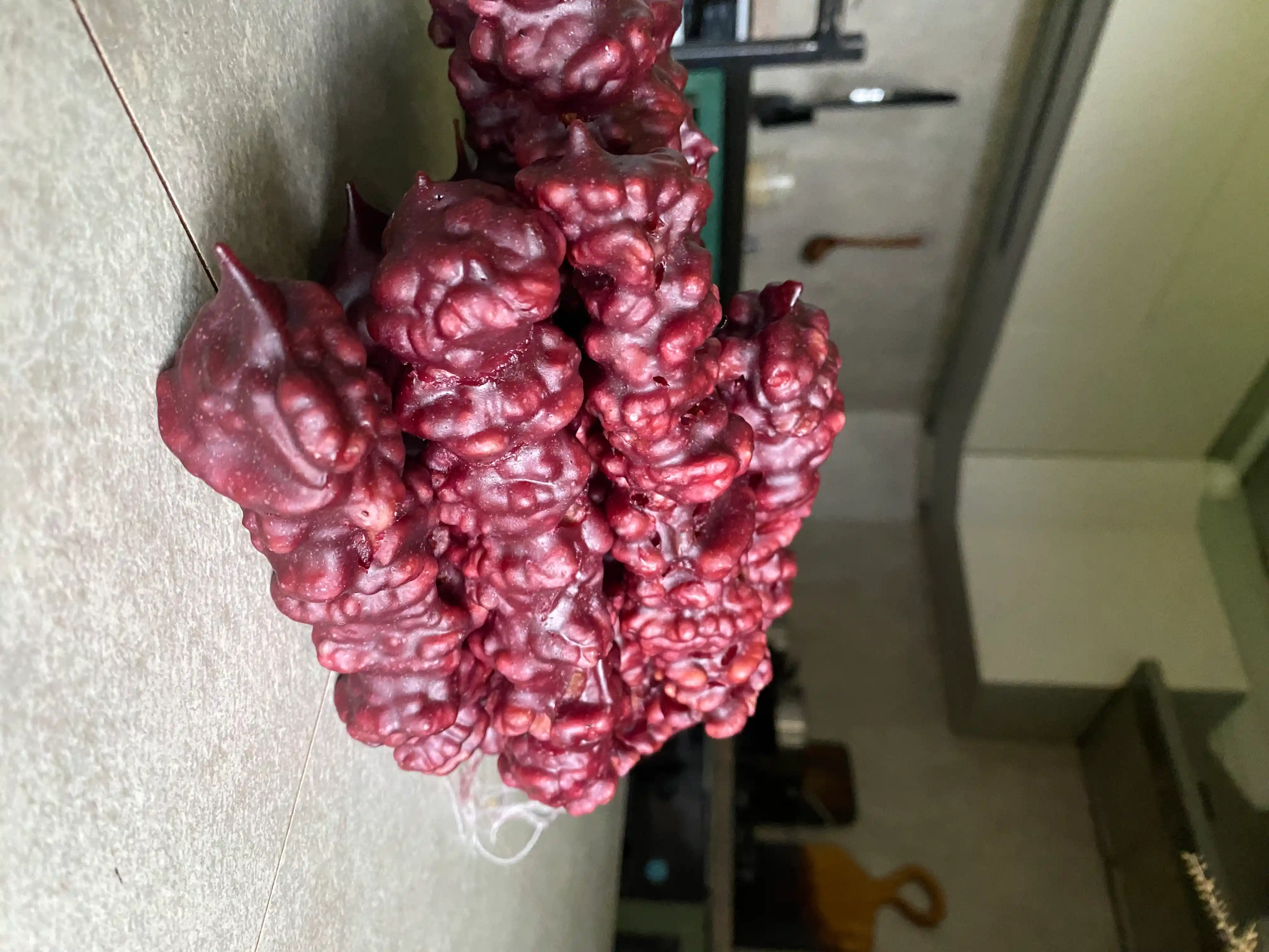 Чурчхела домашняя фото 1