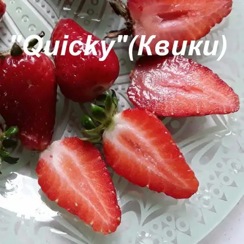 Клубника Quicky (Квики) фото 3