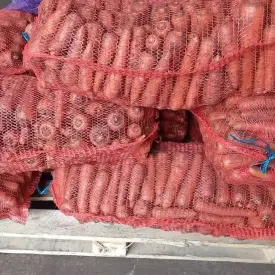 Морковь