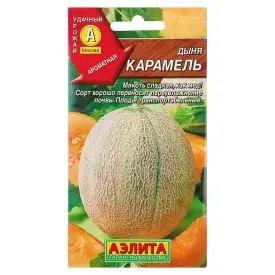 Дыня Карамель 1 г Аэлита