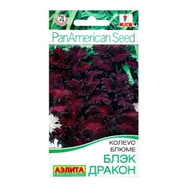 Колеус блюме Блэк Драгон 5 шт Аэлита