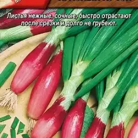 Лук на зелень Красный пучок 0,3 г Аэлита