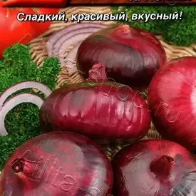 Лук репчатый Ялтинский красный 0,2 г Аэлита