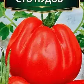 Томат Сто пудов Аэлита