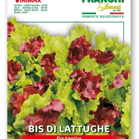 Салат смесь сортов 10 г Franchi