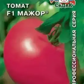 Томат Мажор F1 Седек