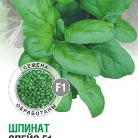 Шпинат Спейс F1 1 г КЛМ