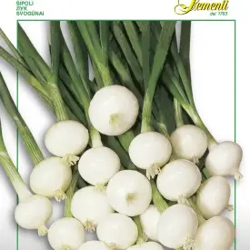 Лук репчатый Барлетта 2,5 г Franchi