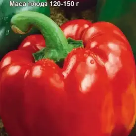 Перец Юпитер МССО