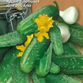 Огурец Засолочный МССО