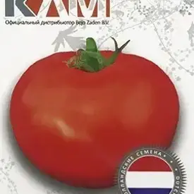 Томат Султан F1 КЛМ