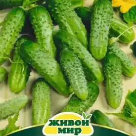 Огурец Парижский корнишон Живой Мир