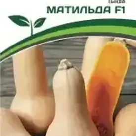 Тыква Матильда F1 5 шт Партнер