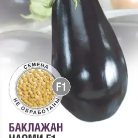 Баклажан Наоми F1 КЛМ