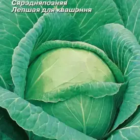 Капуста б/к Белорусская 85 0,5 г МССО