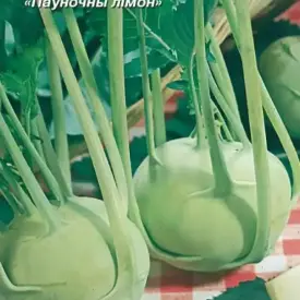 Капуста кольраби Деликатесная белая 0,5 г МССО