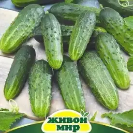 Огурец Борус Живой Мир