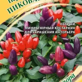 Перец острый кустарниковый Пиковая дама Гавриш