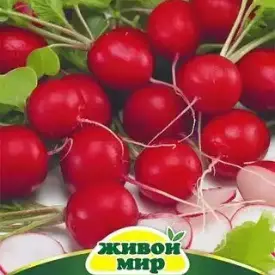 Редис Кармен 10 г Живой Мир