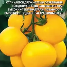 Томат Санька желтый Уральский Дачник
