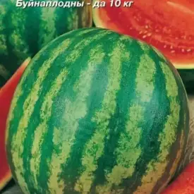 Арбуз Астраханский 10 шт МССО