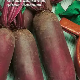 Свекла Атаман столовая МССО