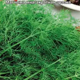 Укроп Аллигатор 2 г МССО