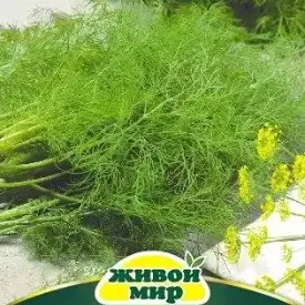 Укроп Богатолистный 5 г Живой Мир