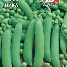 Горох Ника Седек