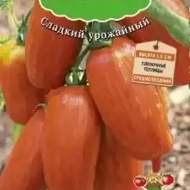 Томат Искры пламени Поиск
