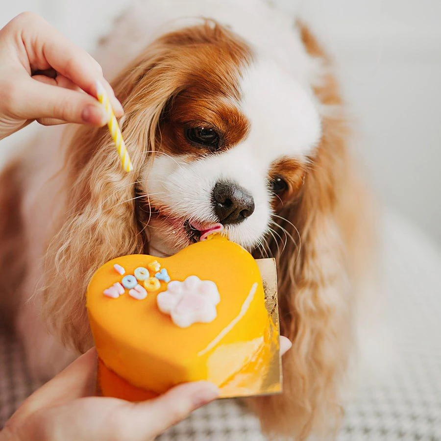 Торт сердце фото 1