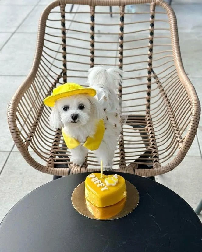 Торт сердце фото 4