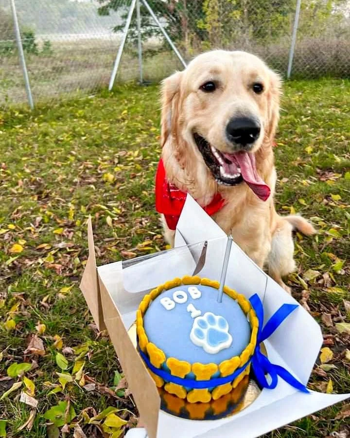 Торт круглый фото 3